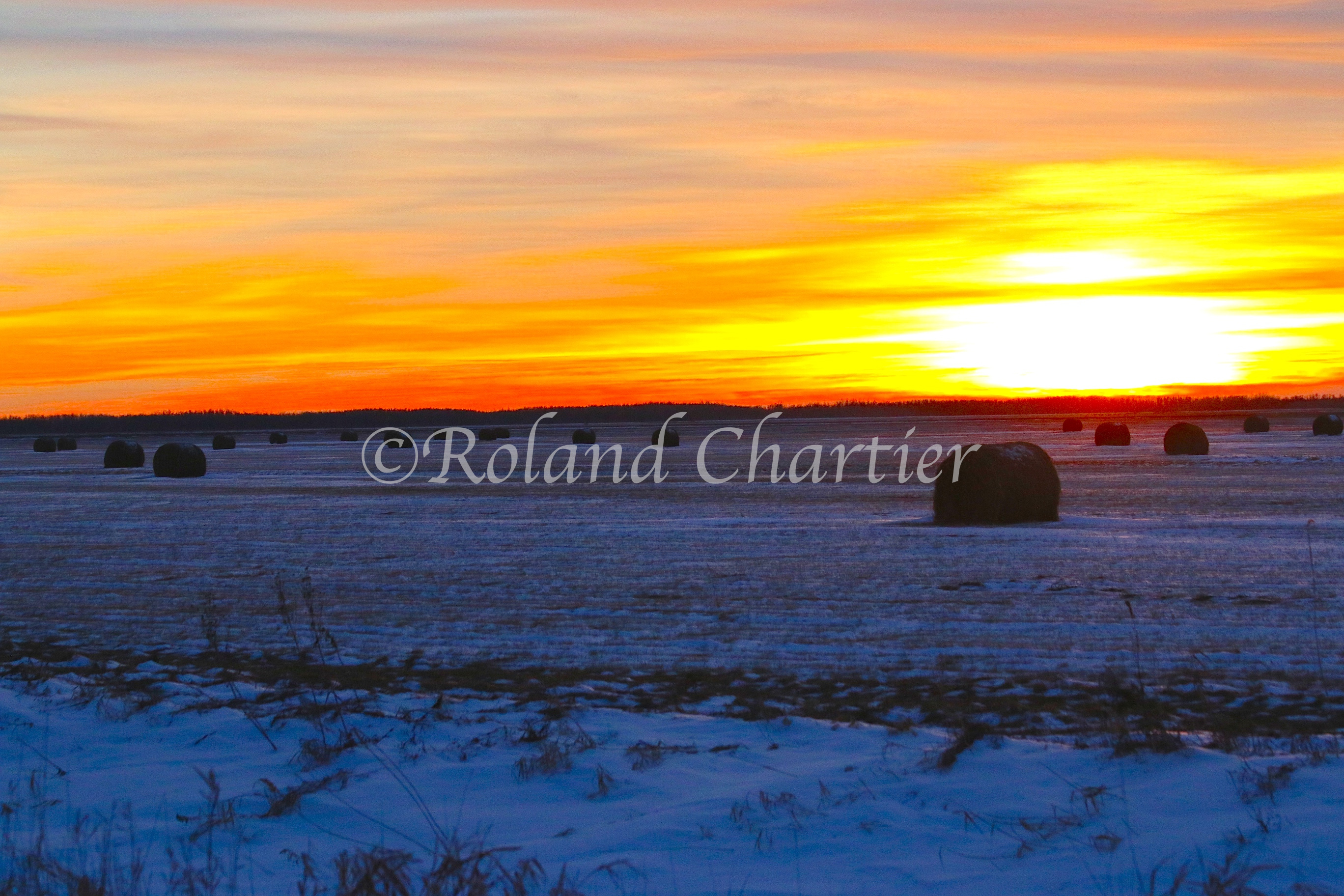 A winter sunset over a prairie field filled with hay bales
        